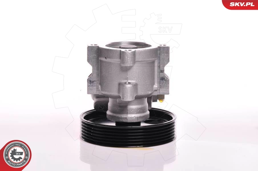 Compre 10SKV013 SKV Bomba da Direção hidrâulica assistida