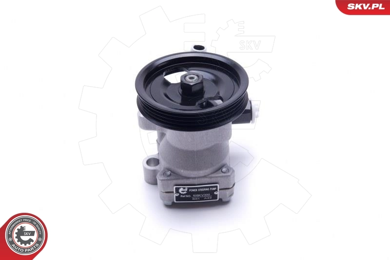 Compre Bomba da Direção hidrâulica assistida Hyundai Accent 1