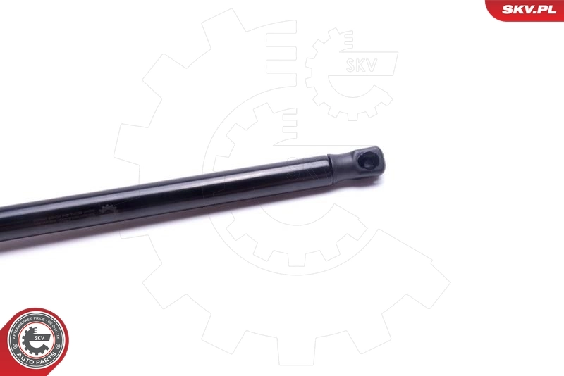  Amortecedor de tampa de porta-malas (de 3ª/5ª porta traseira) Mazda 2 I hatchback (DY) (2003 - 2007) I
