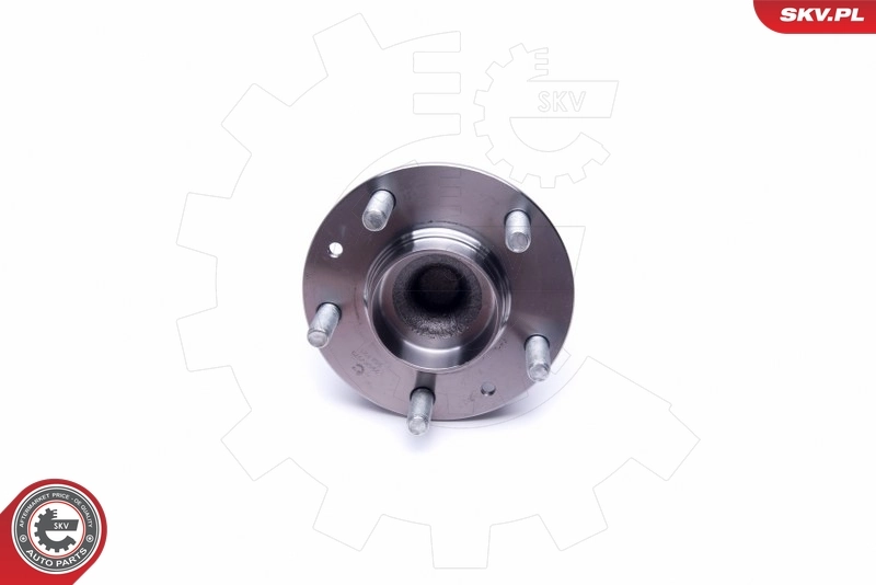 Compre 29SKV379 SKV Cubo traseiro