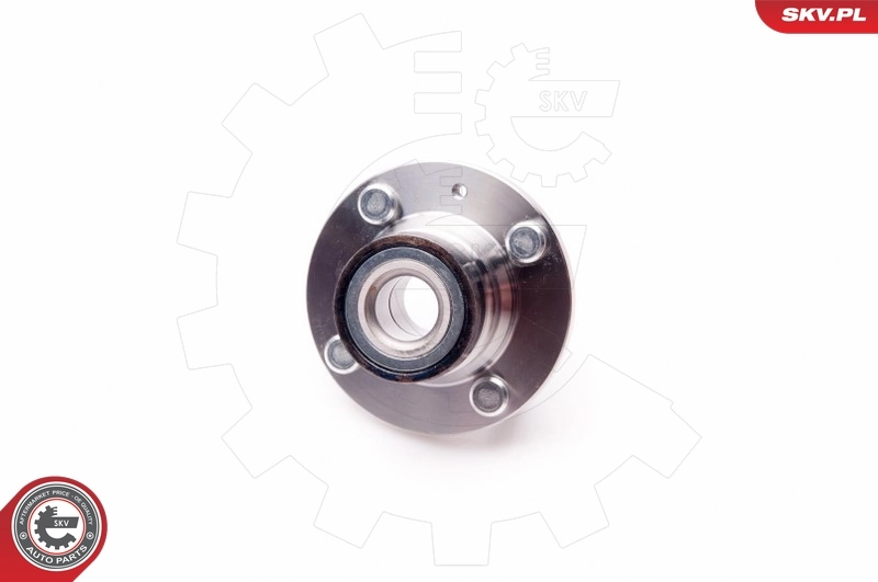 Cubo traseiro SKV 29SKV083 preço, a partir de 48,05 USD