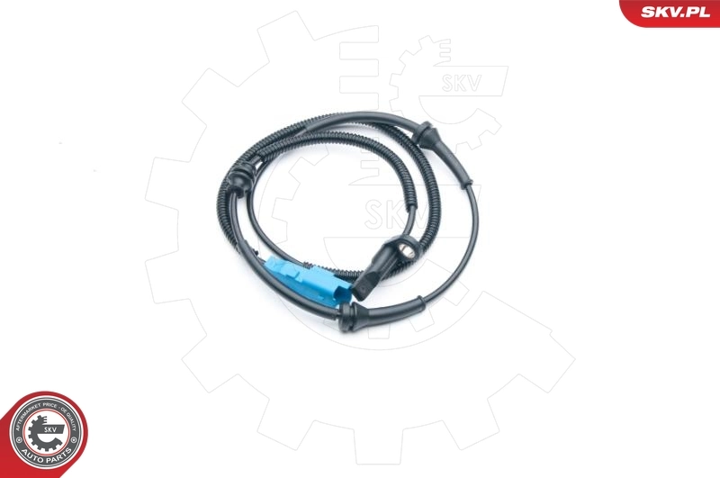 06SKV273 SKV