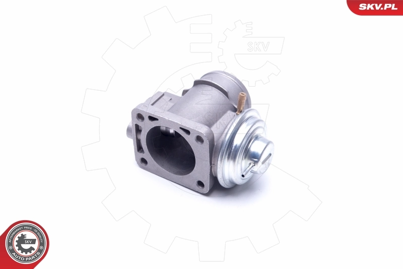 Compre 14SKV174 SKV Válvula EGR de recirculação dos gases