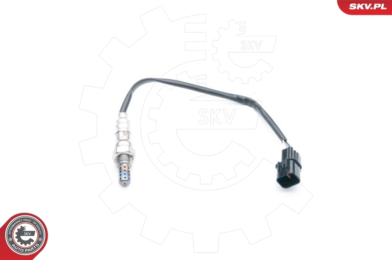 09SKV739 SKV