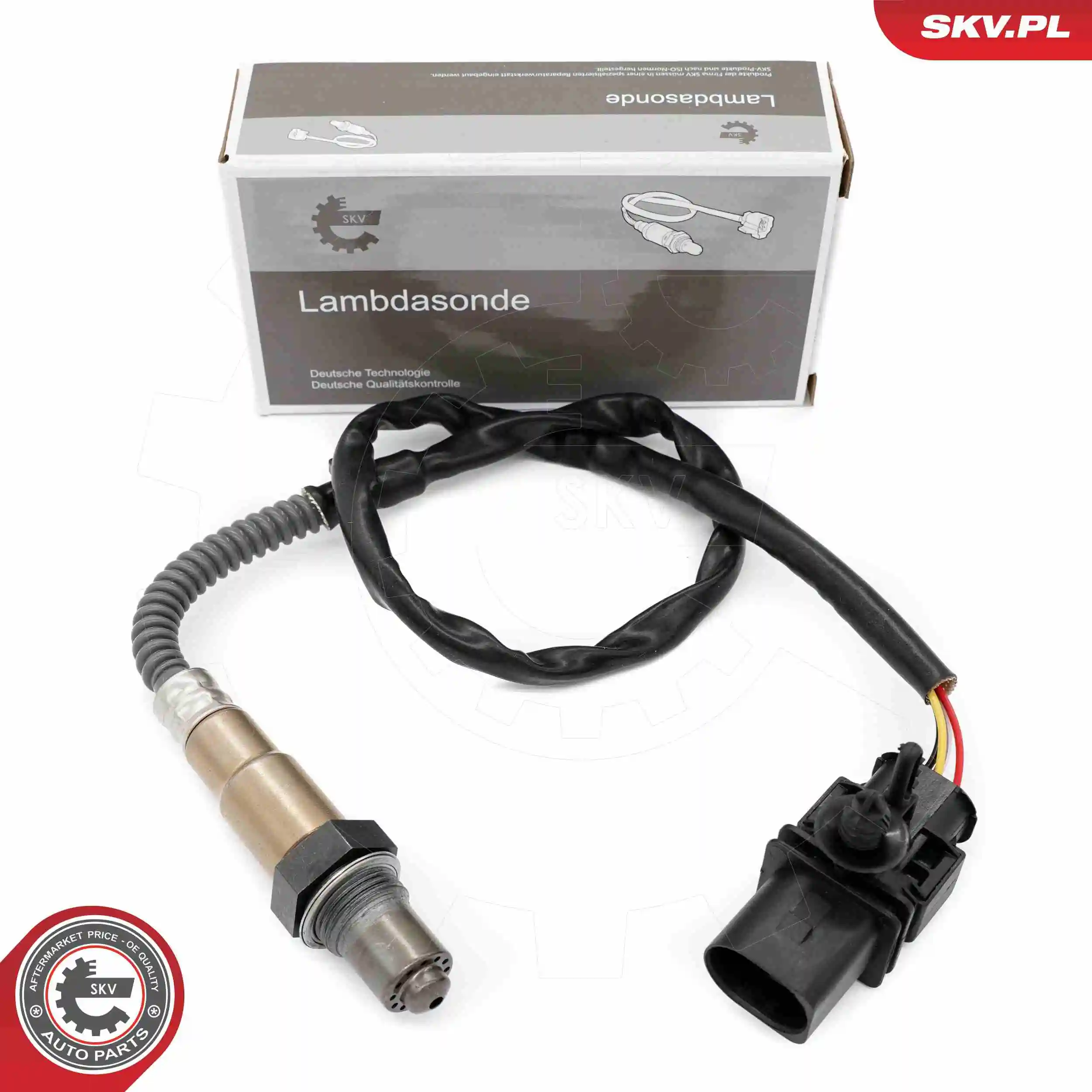 09SKV163 SKV
