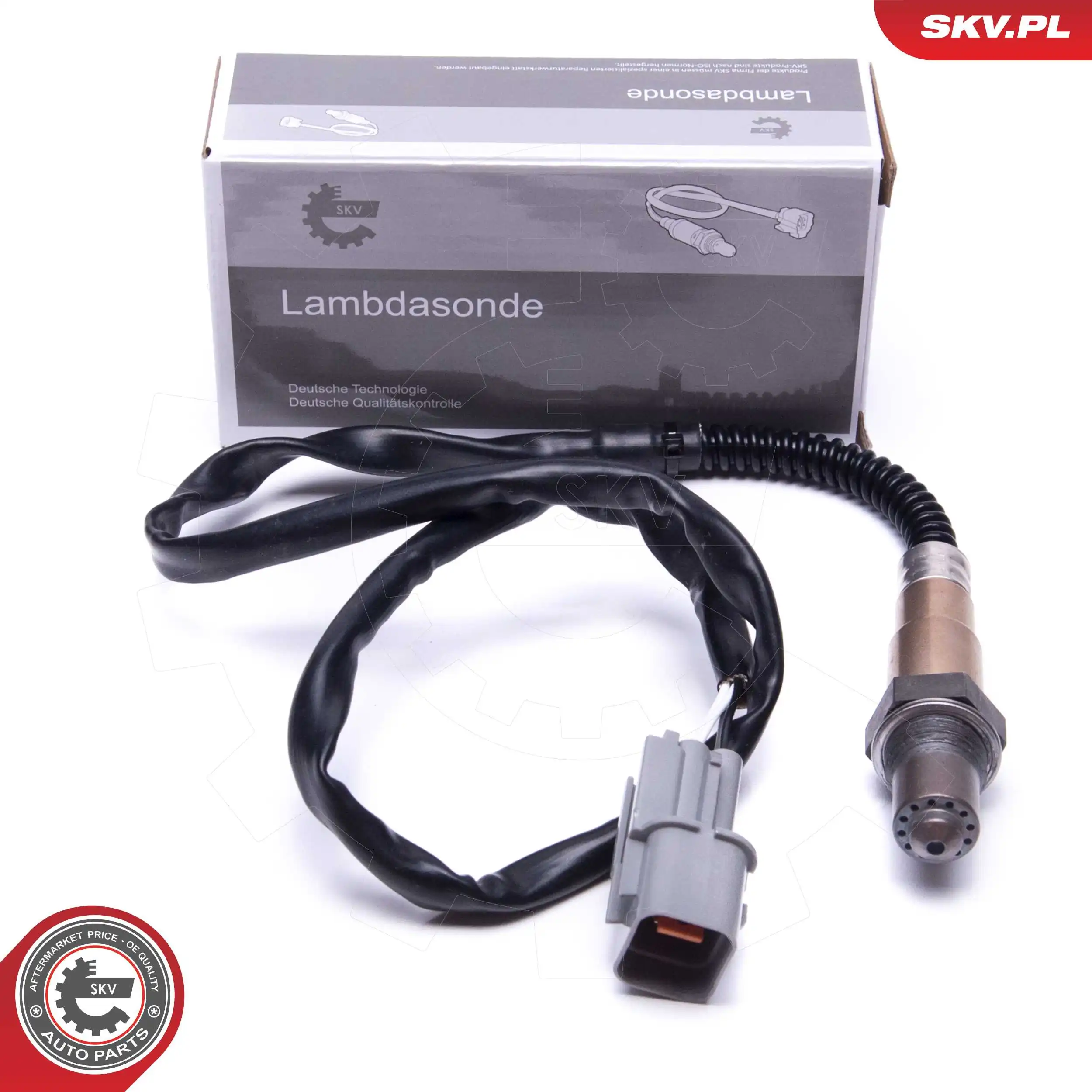 09SKV119 SKV
