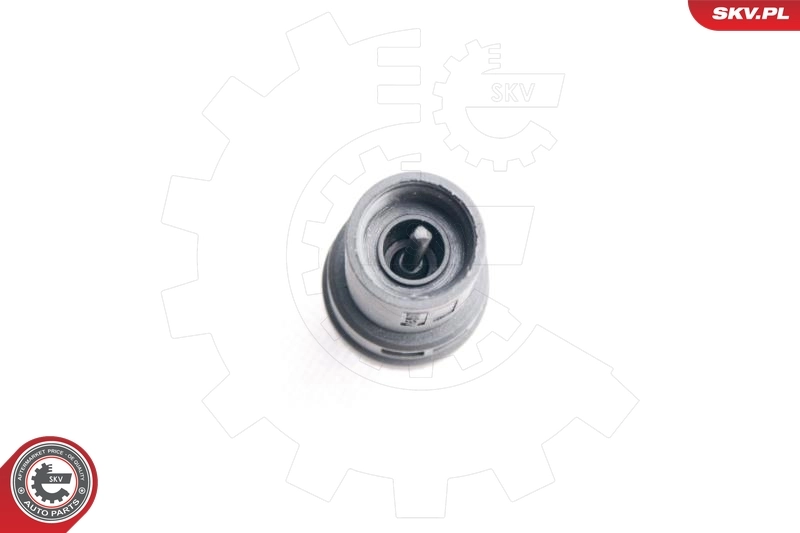 Sensor de velocidade 17SKV356 SKV