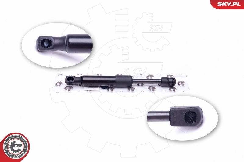  para Peugeot 406  (8C)