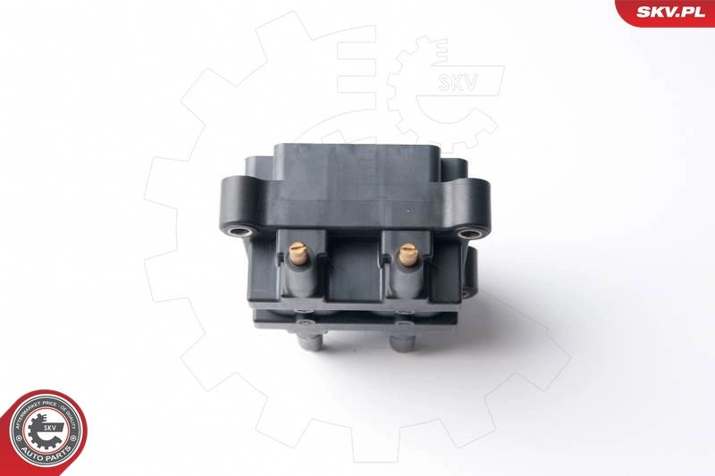 03SKV238 SKV Bobina de ignição