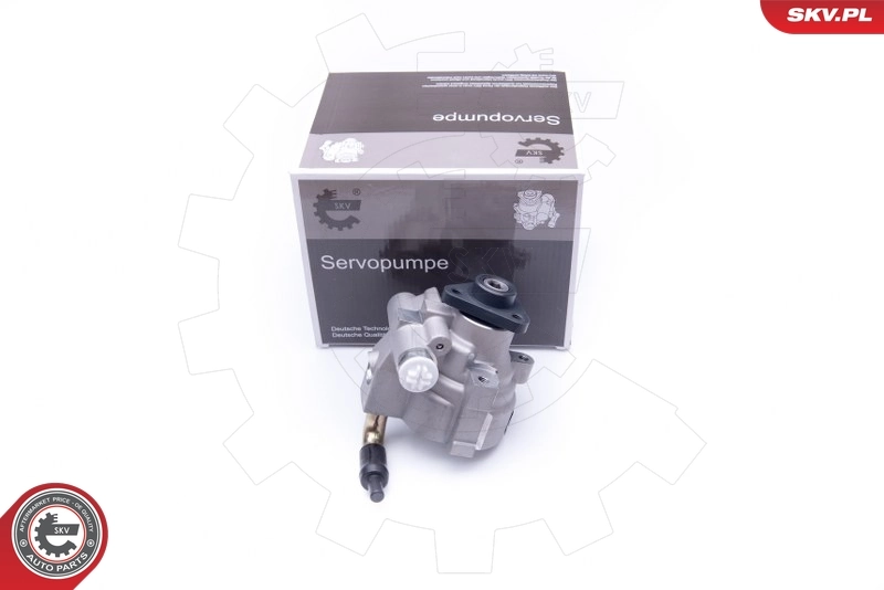 Bomba da Direção hidrâulica assistida 948086 REMA-PARTS