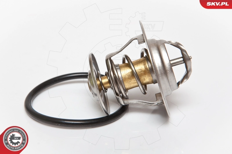 Compre 20SKV003 SKV Termostato