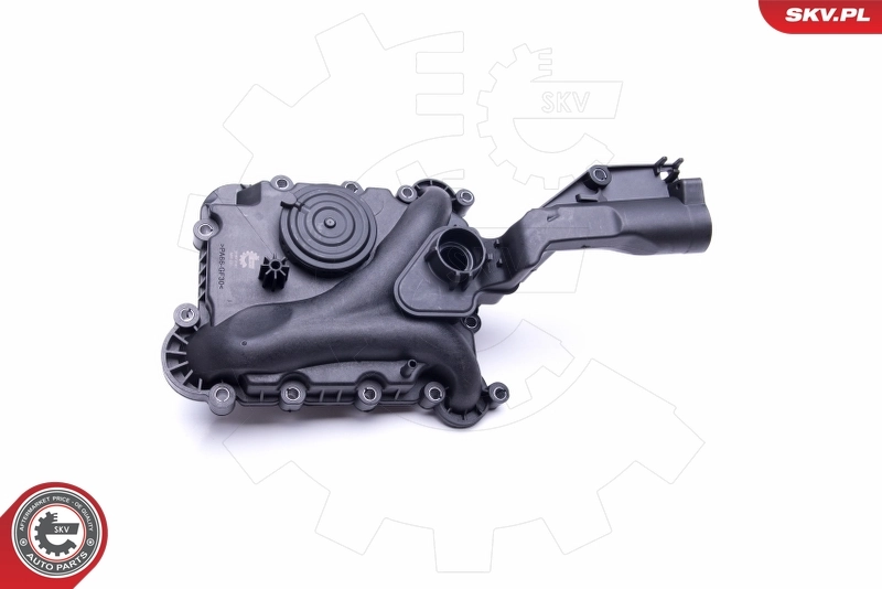 Válvula PCV de ventilação dos gases de cárter SKV 31SKV160 preço, a partir de 100,54 USD
