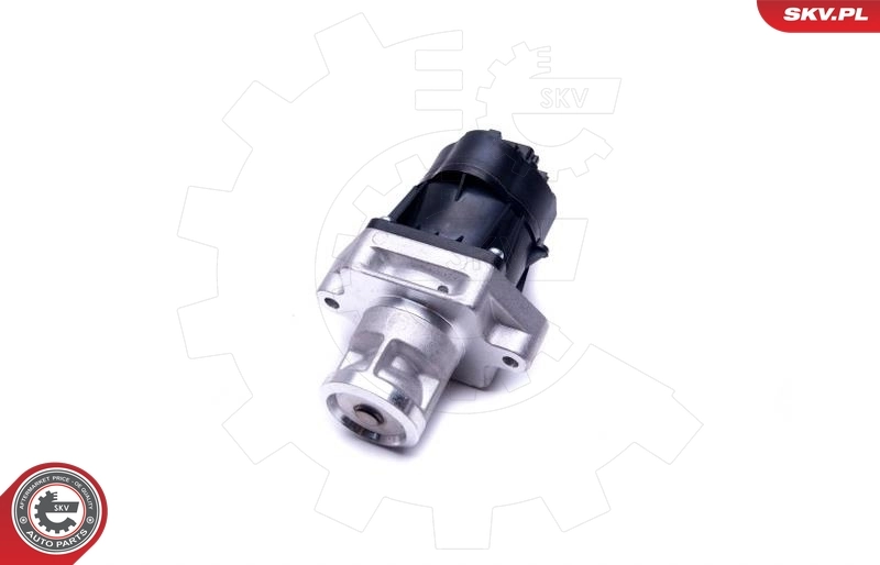 Compre 14SKV217 SKV Válvula EGR de recirculação dos gases