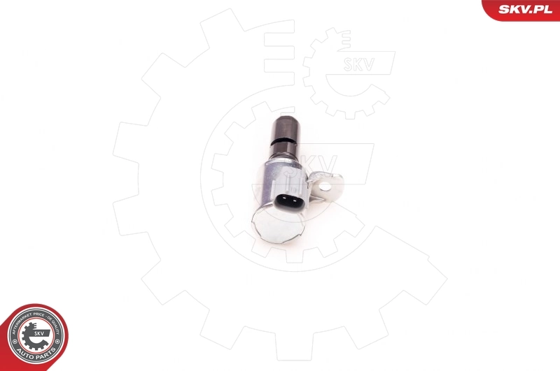 para Ford C-Max (CB3)