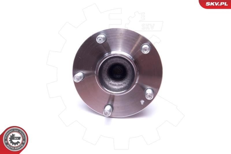 Cubo traseiro SKV 29SKV559 preço, a partir de 89,62 USD