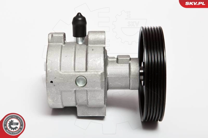 Compre 10SKV068 SKV Bomba da Direção hidrâulica assistida