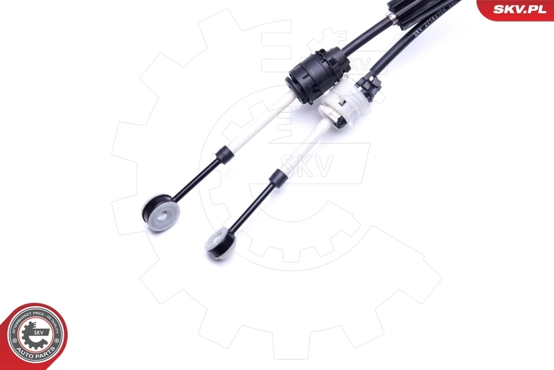 Renault Scenic II desde 141,72 €