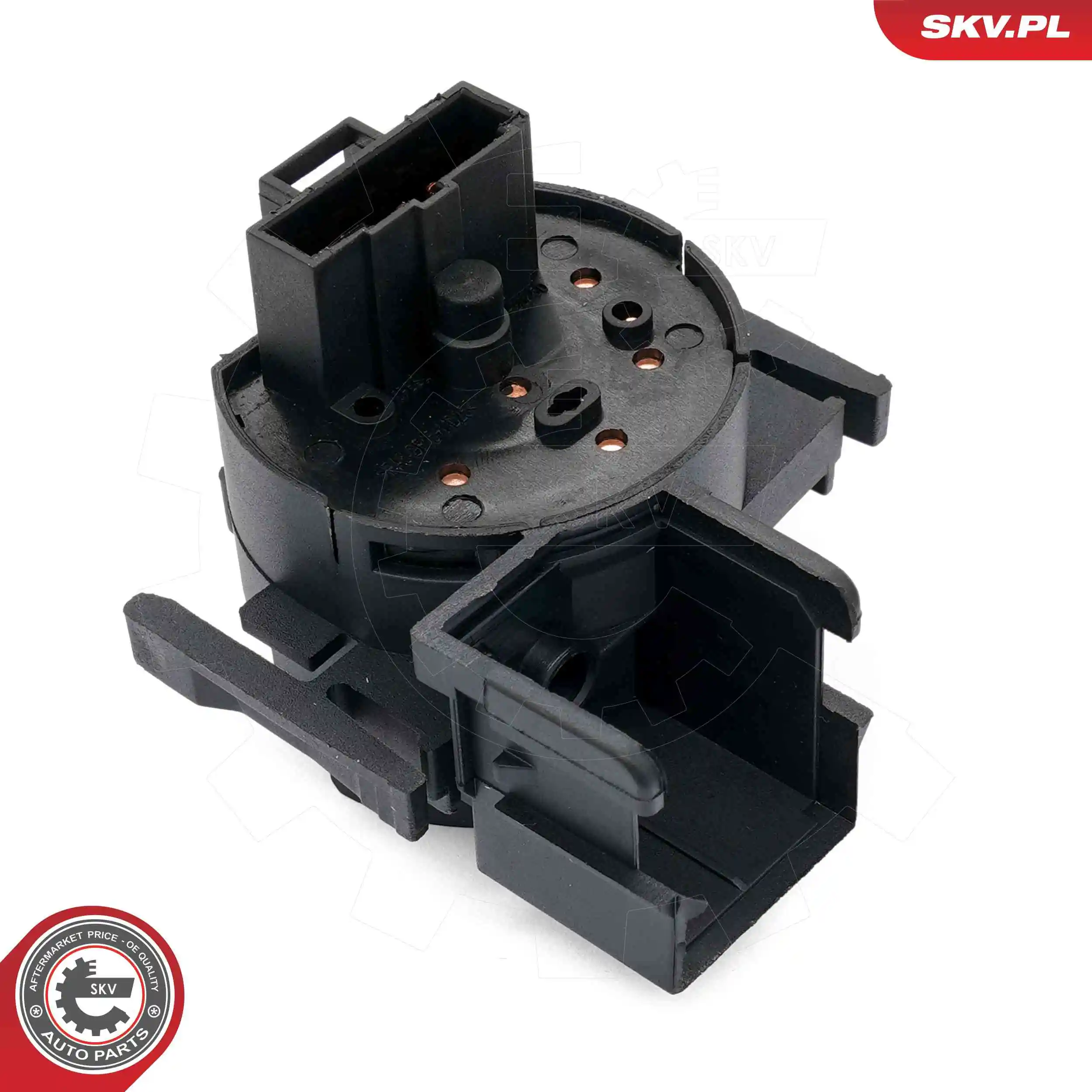 65SKV029 SKV