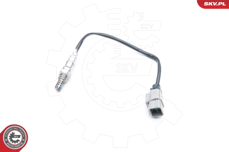 09SKV732 SKV