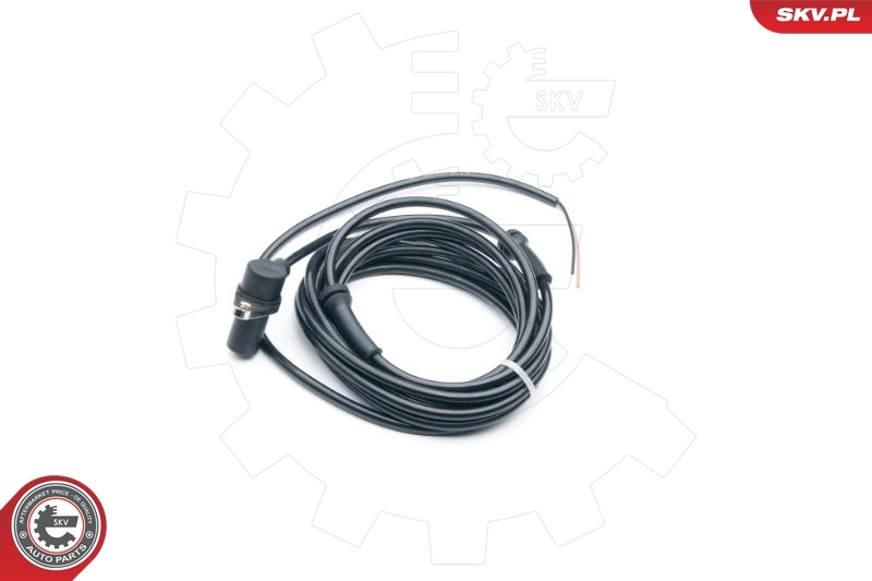 06SKV301 SKV