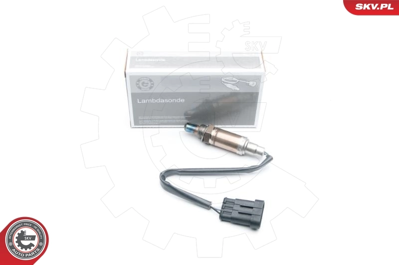 09SKV595 SKV