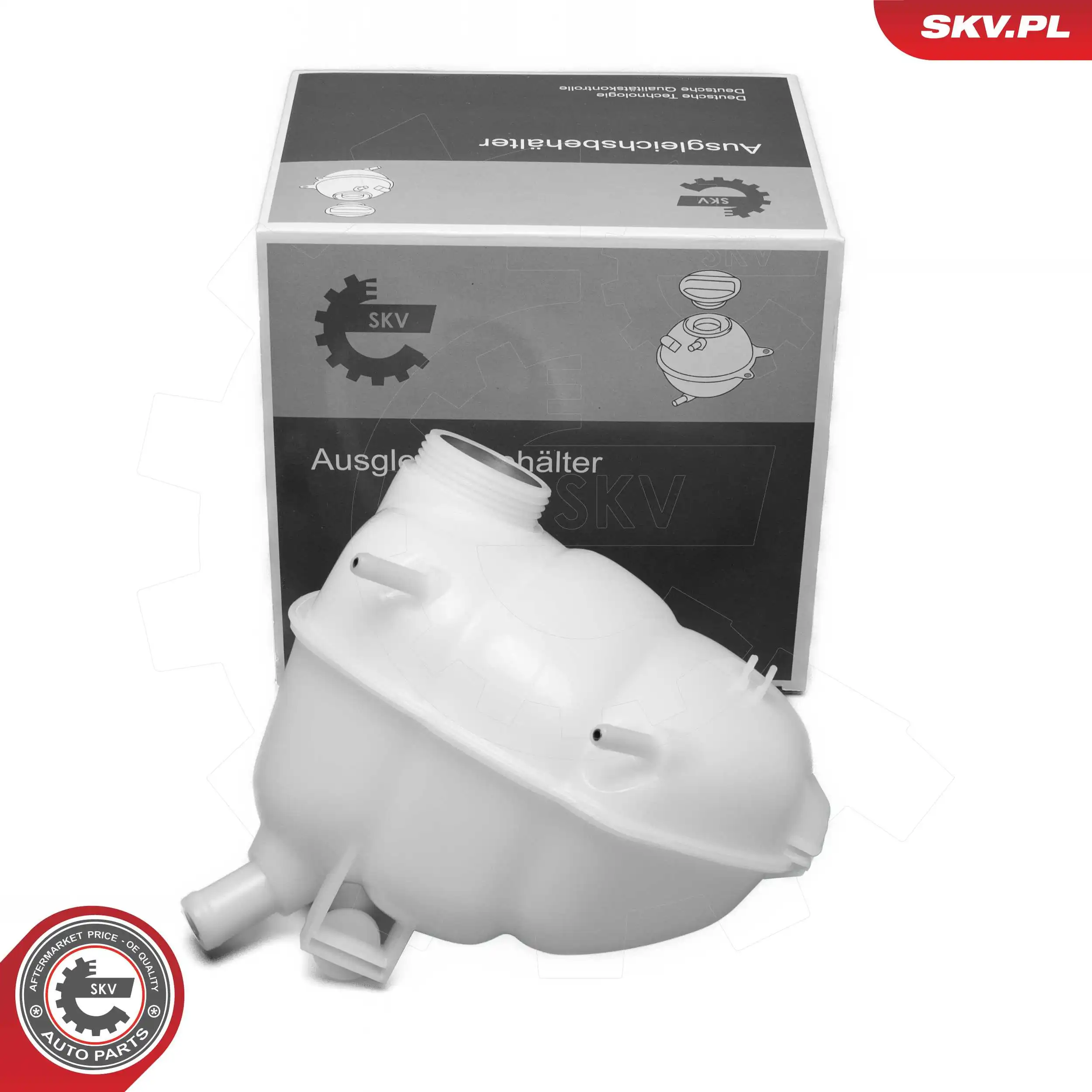 61SKV379 SKV