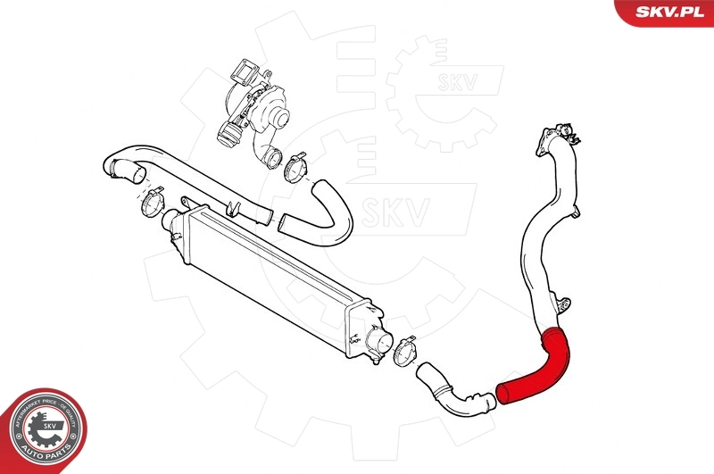 Mangueira (cano derivado) de intercooler 51821514 Fiat/Alfa/Lancia