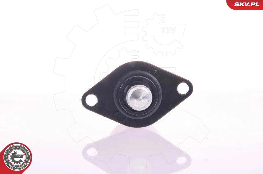 Válvula (regulador) de marcha a vácuo SKV 08SKV040 preço, a partir de 41,76 USD