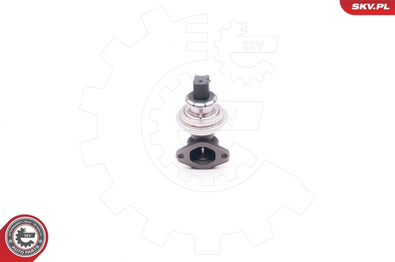 Válvula EGR de recirculação dos gases para Ford Transit IV E