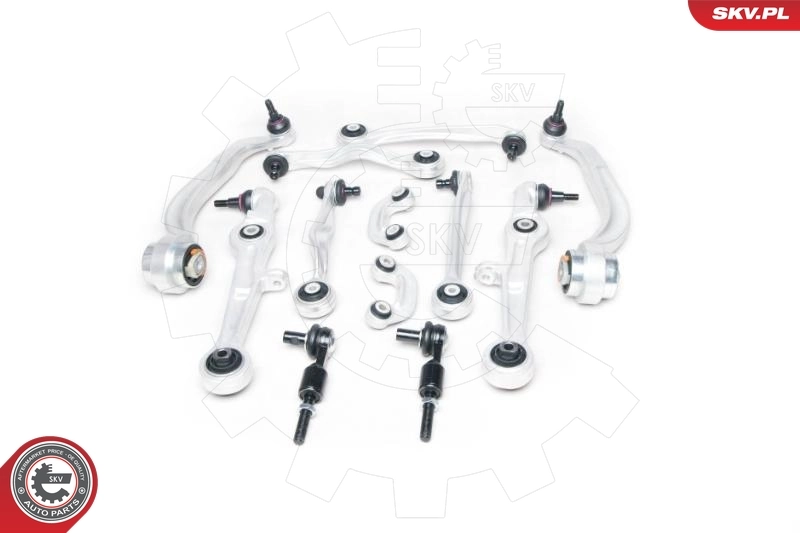 04SKV250 SKV Kit de braços oscilantes de suspensão dianteira