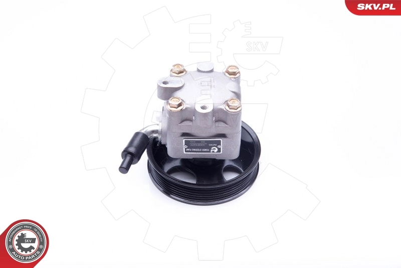  Bomba da Direção hidrâulica assistida Nissan X-Trail SUV (T30) (2001 - 2007) 