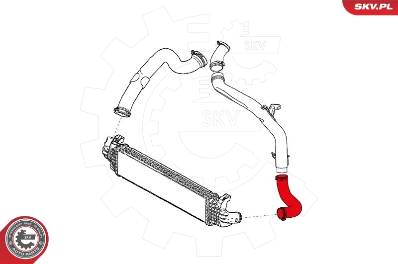 24SKV876 SKV