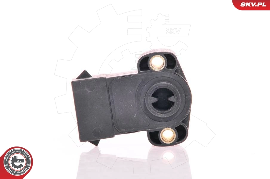 17SKV001 SKV Sensor de posição da válvula de borboleta (potenciômetro)