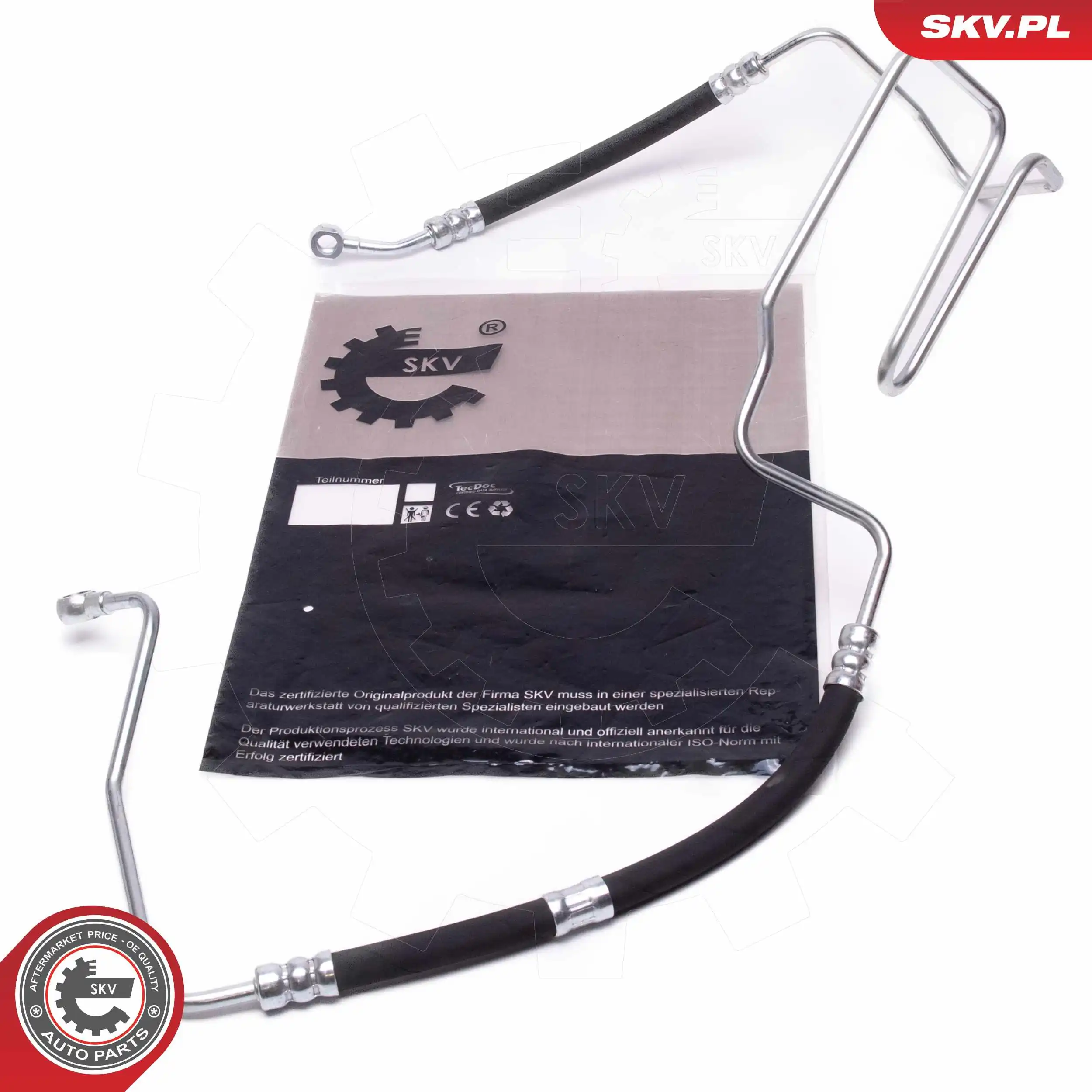 10SKV881 SKV