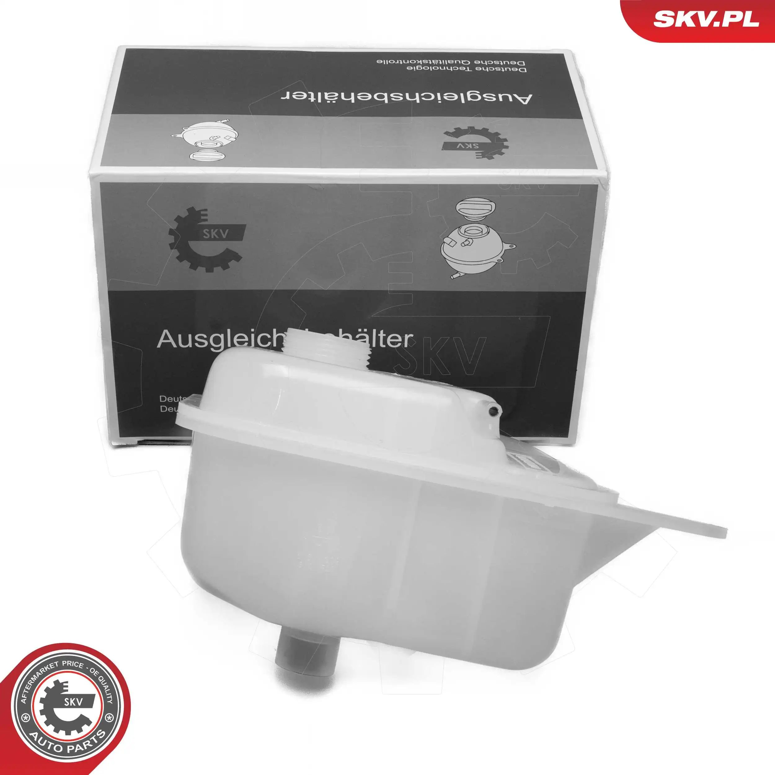 61SKV309 SKV