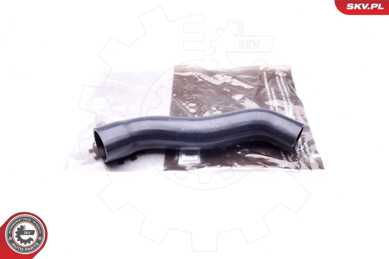 43SKV079 SKV
