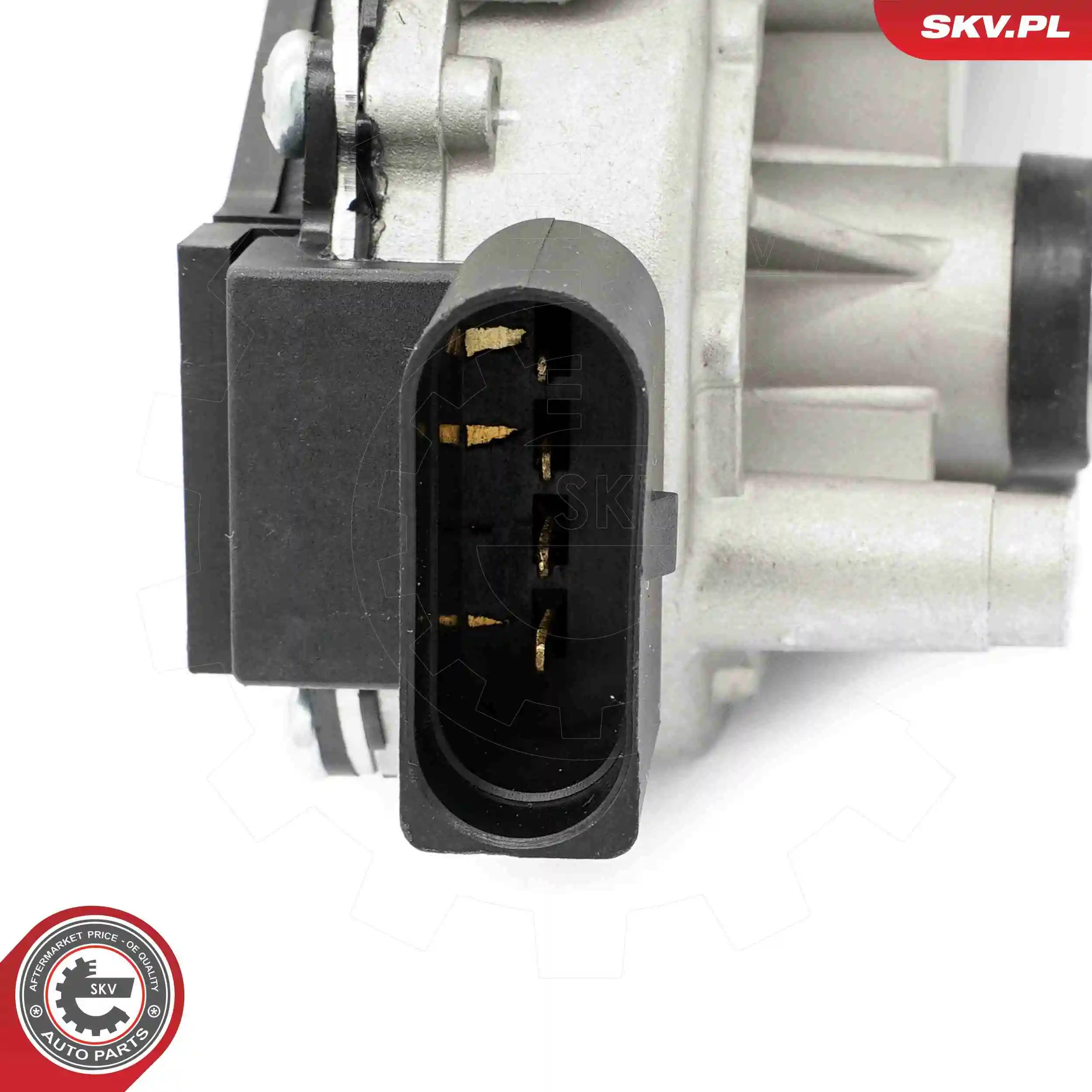  SKV 19SKV206
