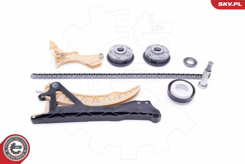 Compre SW20947662 Swag Cadeia do mecanismo de distribuição de gás, kit