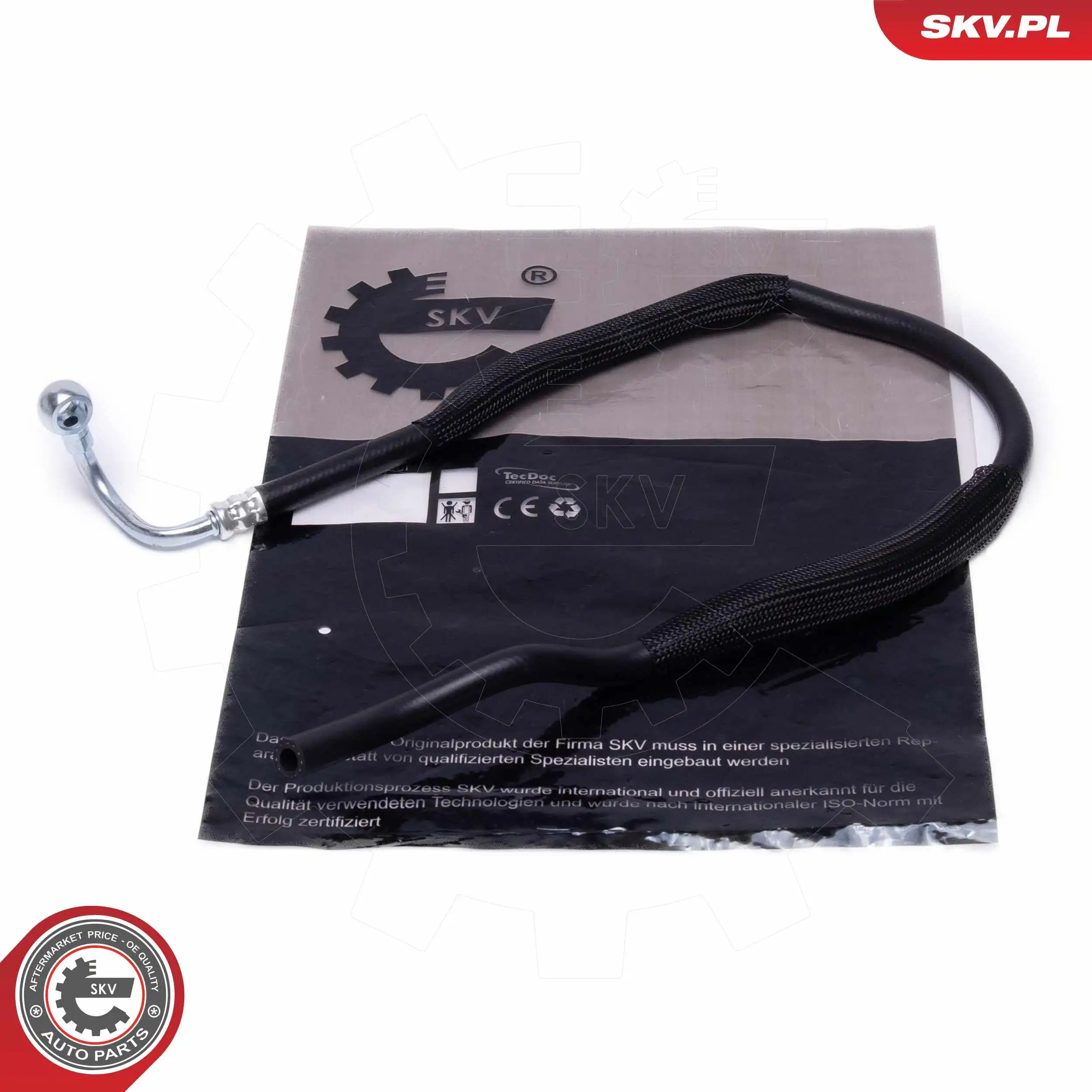 10SKV818 SKV