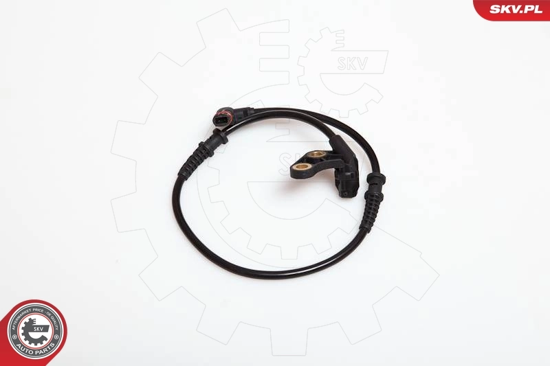 06SKV137 SKV