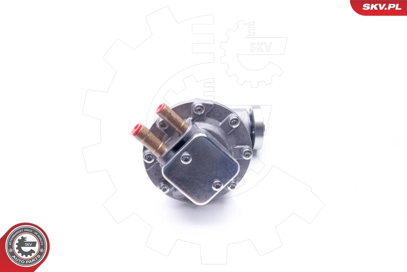 Bomba a vácuo 456513 Peugeot/Citroen