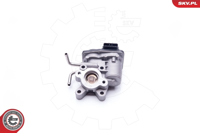 Compre 14SKV189 SKV Válvula EGR de recirculação dos gases