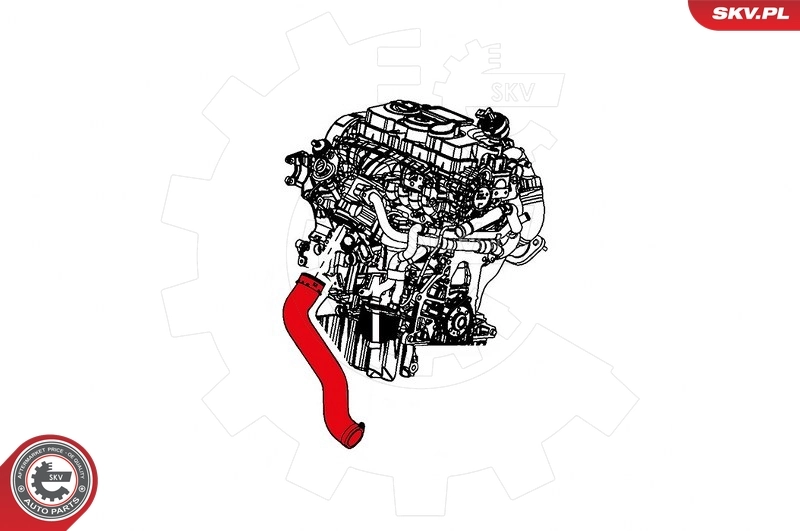 Mangueira (cano derivado) de intercooler 04891862AB VAG