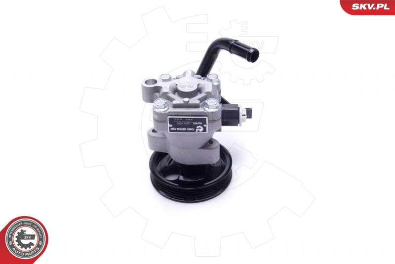 Compre Bomba da Direção hidrâulica assistida Hyundai Getz 