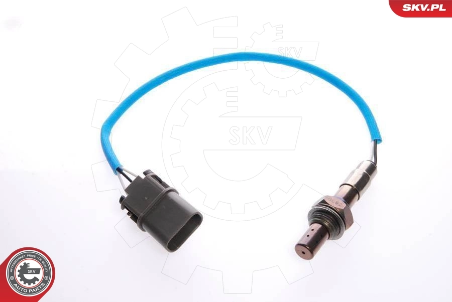 09SKV016 SKV
