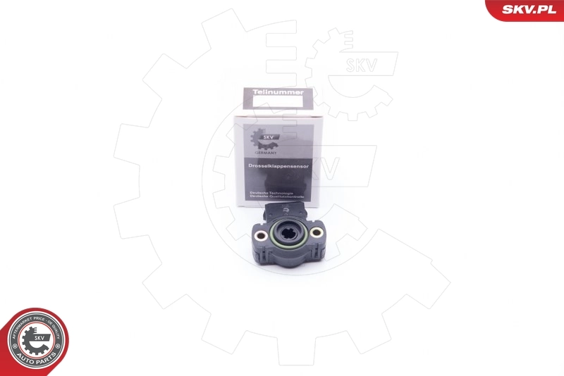 17SKV011 SKV