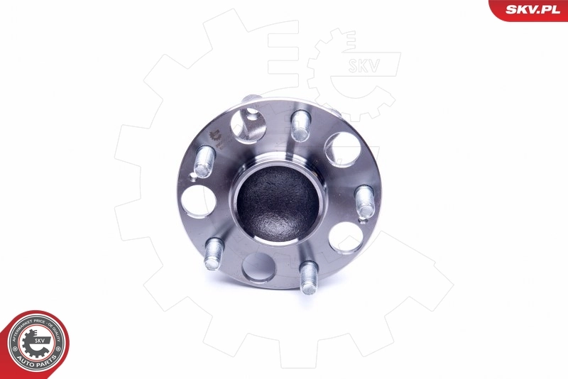 Compre 29SKV230 SKV Cubo traseiro