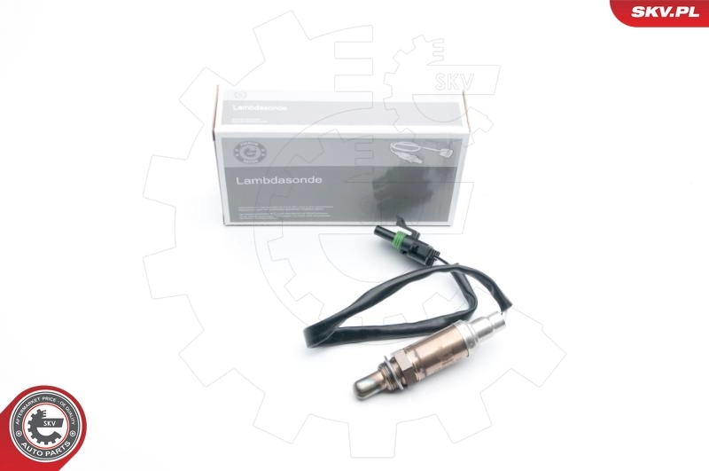 09SKV538 SKV