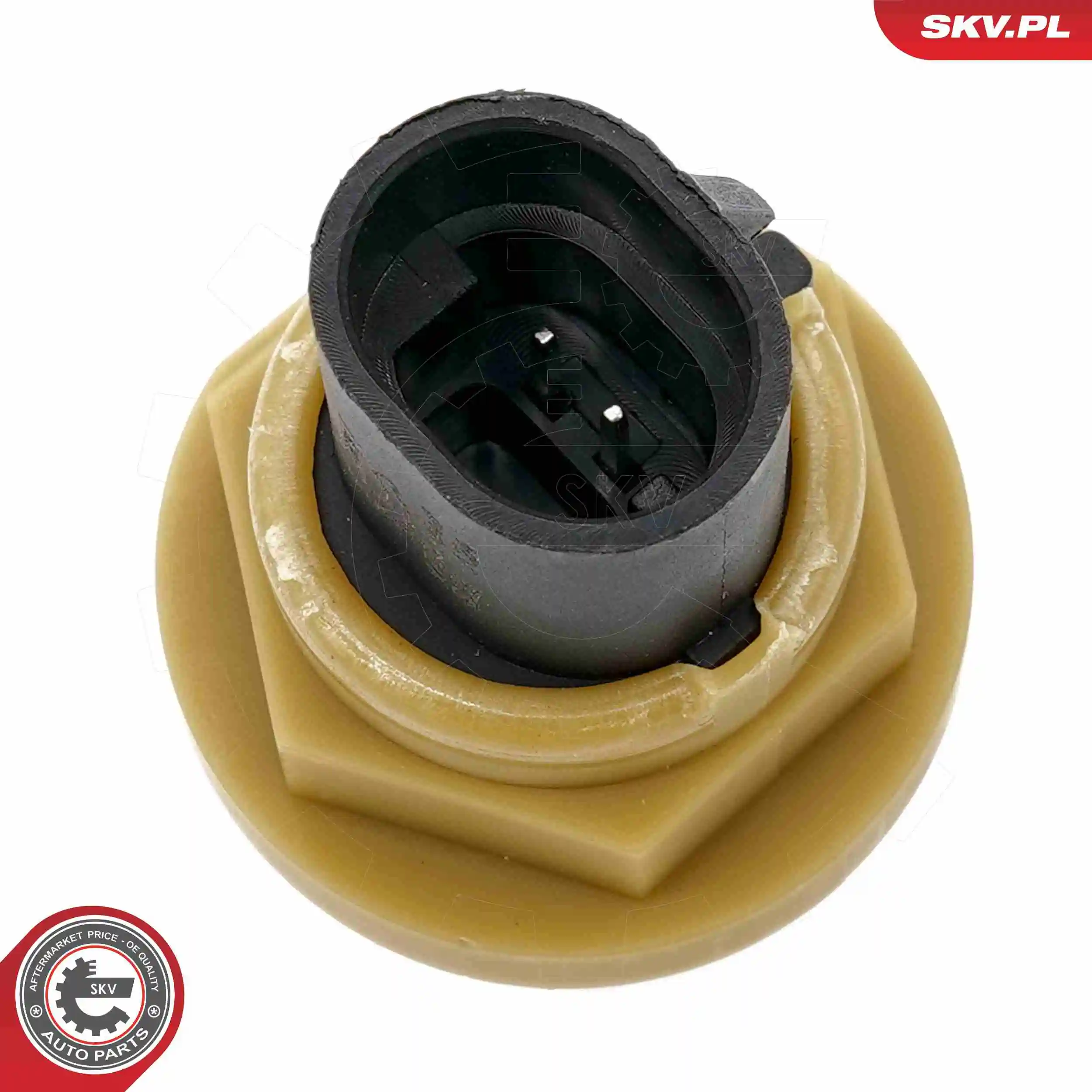 Compre 17SKV848 SKV Sensor de velocidade