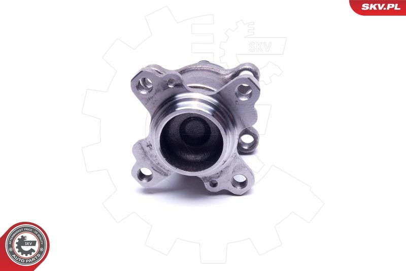 Compre 29SKV312 SKV Cubo traseiro